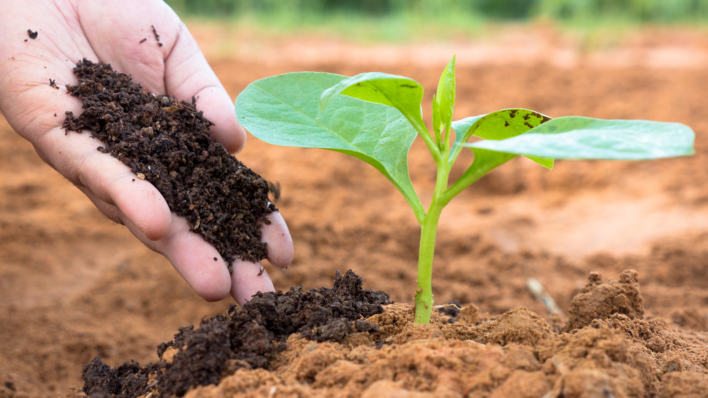 GEME Terra 2 calls actions to World Environment Day 2026