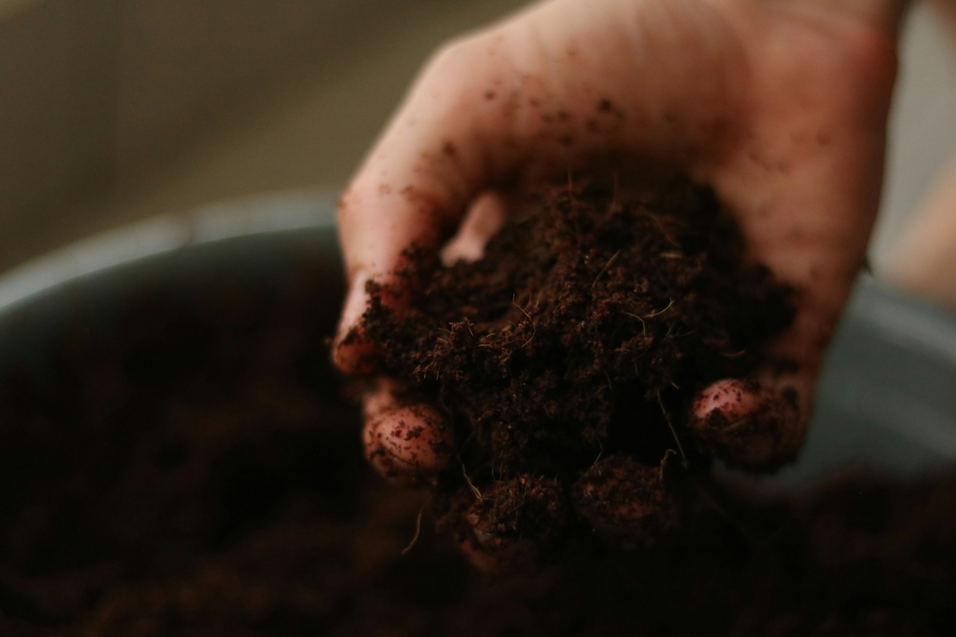 GEME Composter Output is Real Compost Ready to Use